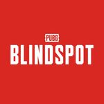PUBG: BLINDSPOT
